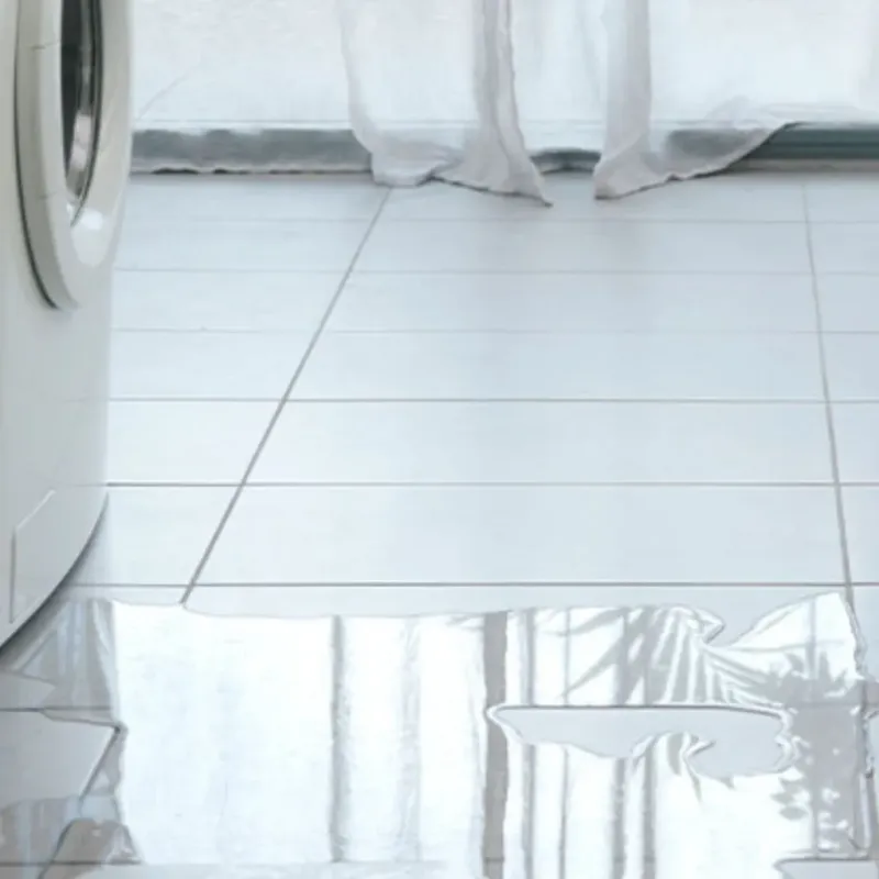 Appliance Leak Cleanup in Leipsic, OH