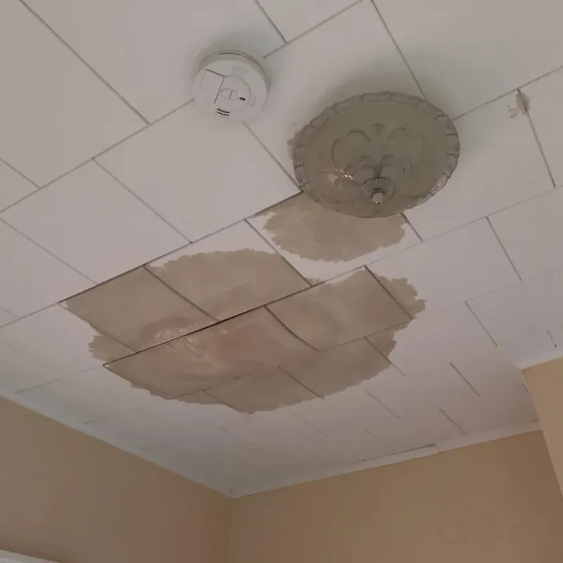 Ceiling Water Damage Repair in Leipsic, OH