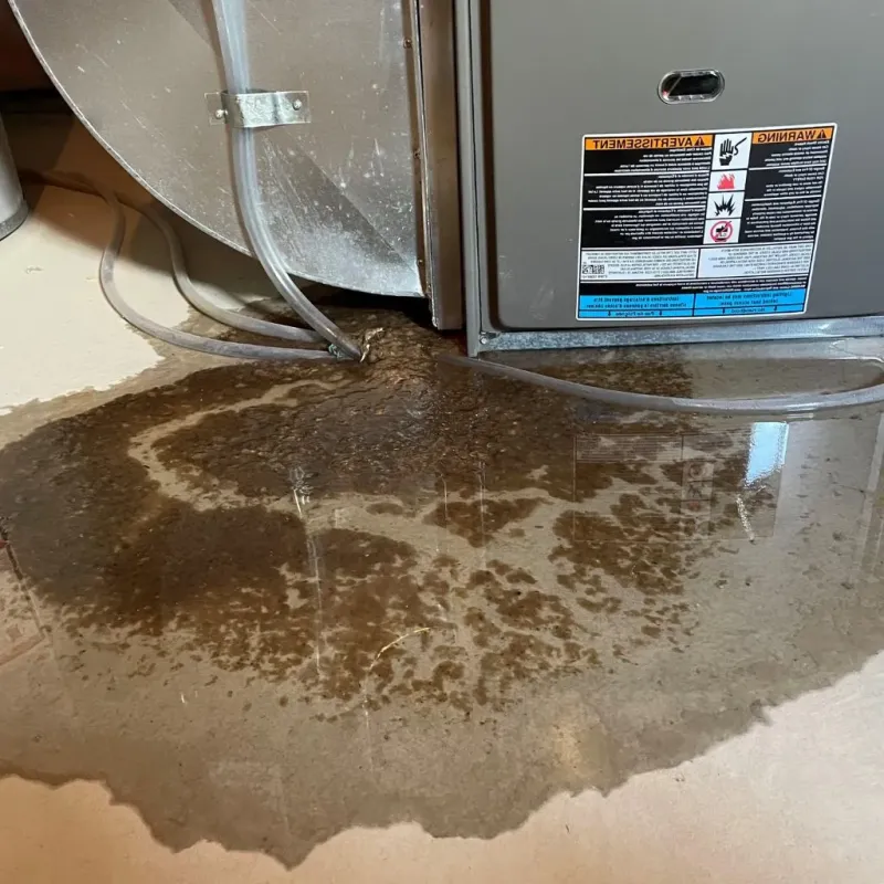 Pipe Burst and Leak Restoration in Leipsic, OH
