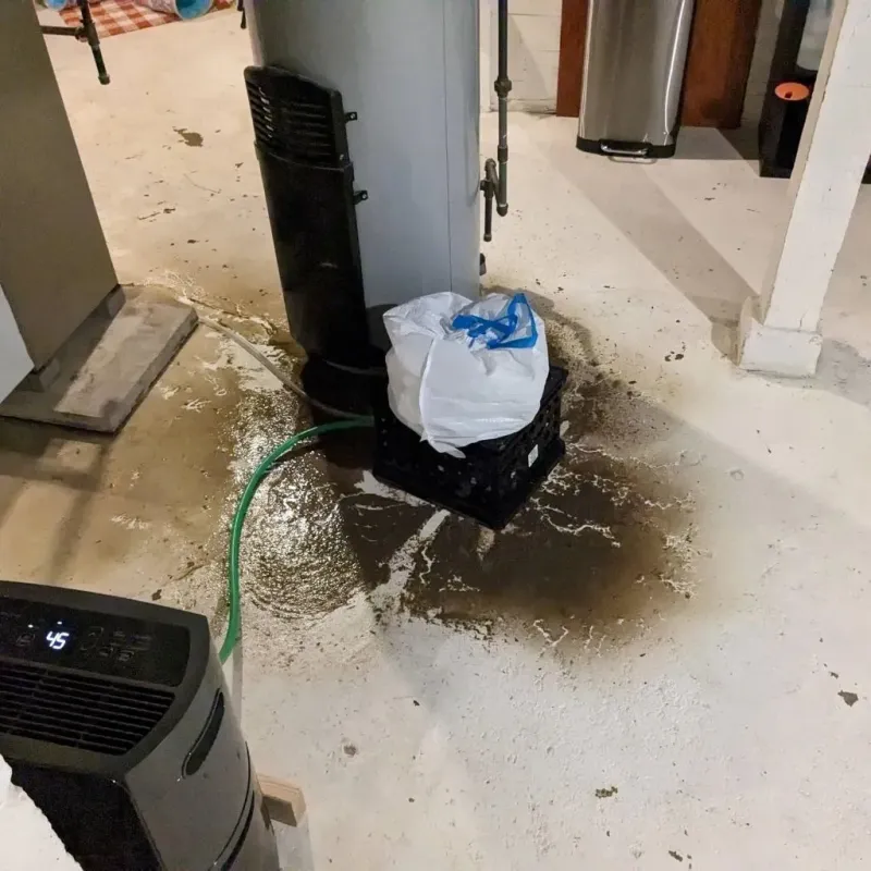 Sewage Backup Cleanup Service in Leipsic, OH
